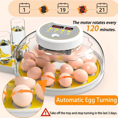 Miniatura 4 de Incubadora 18/60 para incubar huevos, incubadoras de huevos con pantalla de humedad, vela de huevos, girador automático de huevos, incubadora