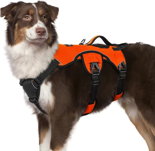 Miniatura 47 de rabbitgoo - Arnés para perro a prueba de fugas, arnés para mascotas acolchado suave de cuerpo completo, chaleco reflectante ajustable sin tirones