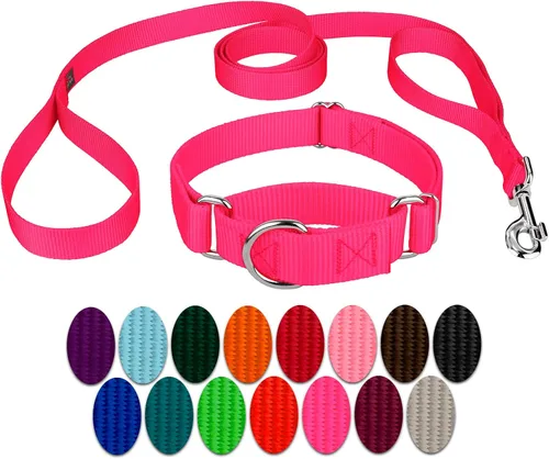 Miniatura 19 de Country Brook Petz - Collar para perro de nailon resistente Martingala azul hielo y correa de doble asa (1 pulgada, grande)