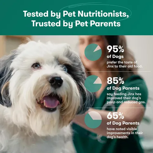 Miniatura 7 de Jinx - Alimento seco premium sin granos para perros, para todas las etapas de la vida - Pienso para cachorros de salmón real, batata y zanahoria