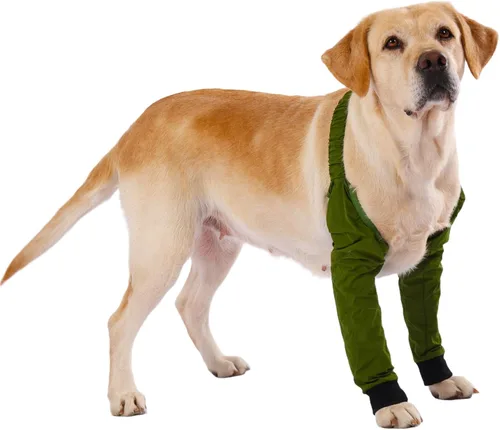 LovinPet Mangas delanteras para perros medianos y grandes, protector impermeable para codos y rodillas, recuperación antilamientos, soporte