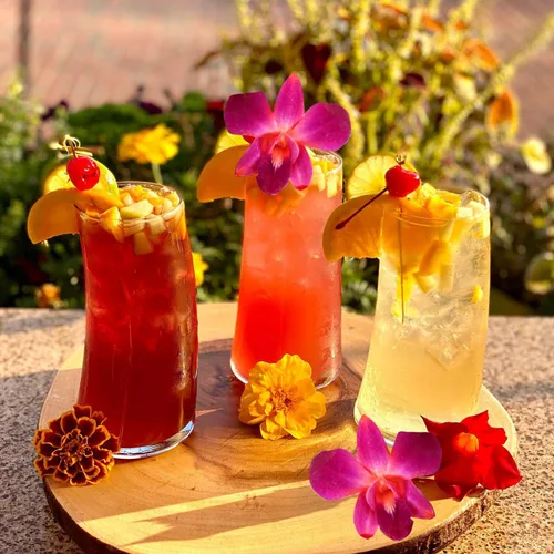 Miniatura 2 de Miami Fresh Orchid Flower OrchidClub USA Sunne Tropical Loose Bloom Head DIY Lei Food Drink Decor RED (50 rojo VALENTÍN)