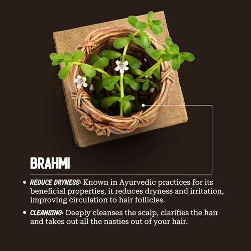 Miniatura 5 de Brahmi - Exfoliante y limpiador para el cuero cabelludo para hombres y mujeres, exfoliación profunda y limpieza, perfecto para el cuidado