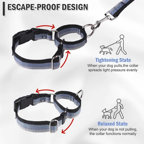 Miniatura 2 de Martingale - Juego de collar y correa para perro, para caminar, jugar, entrenar, collares reflectantes ajustables con correa para perros pequeños