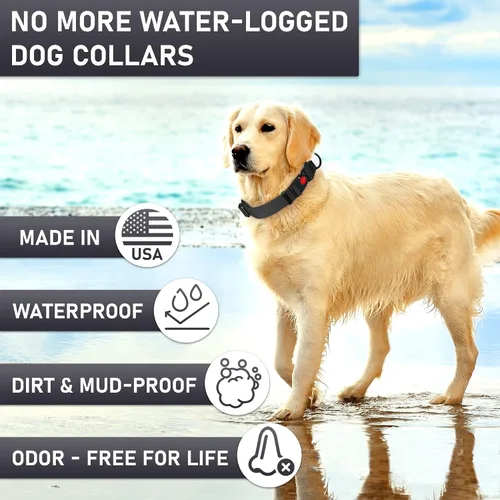 Miniatura 2 de Collar de perro ajustable con código QR identificación adjunta, fabricado en Estados Unidos, collar de perro resistente al agua con hebilla de Negro