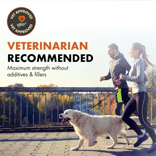 Miniatura 3 de Alpha Dog Nutrition - Suplemento de apoyo inmunológico para alergias Shield para perros – 7 complejos nutricionales de hongos en polvo + vitamina C