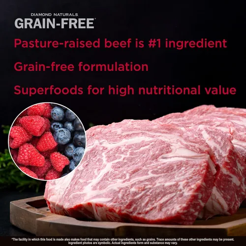 Miniatura 4 de Diamond Naturals Sin Granos Receta de Carne Real Alimento Seco Premium para Perros con Carne de Res Real Criada en Pastizales 5 Lb