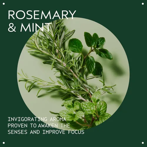 Miniatura 3 de Aveda Rosemary Mint Purifying Shampoo Clarifying Shampoo Gently Removes Buildup, Adds Shine For Normal to Oily Hair, Fine to Medium Hair Types