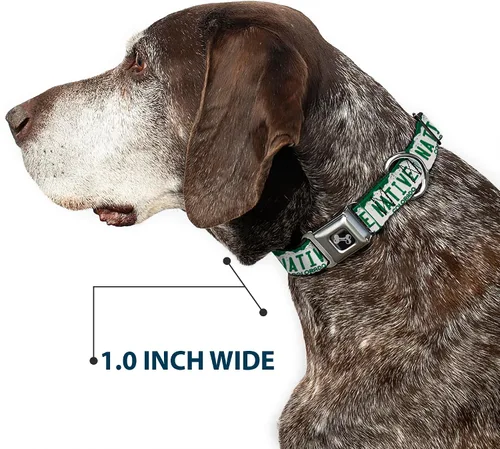 Miniatura 6 de Buckle-Down Collar de perro con hebilla para cinturón de seguridad, placa de matrícula de Colorado, 1 pulgada de ancho, se adapta a cuello de 15 a
