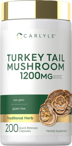 Carlyle Cápsulas de hongos de cola de pavo | 1200 mg | 200 unidades | Extracto sin OMG y sin gluten