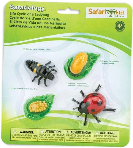 Miniatura 3 de Safari Ltd Safariología, el ciclo de vida de una abeja