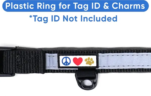 Miniatura 8 de Pawtitas Cuello ajustable reflectante para perro, Collar para perro acolchado, Negro