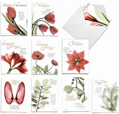 The Best Card Company - 10 tarjetas de notas festivas para Navidad - Surtido a granel, tarjetas de felicitación en caja con sobres (10,2 x 13 cm) -