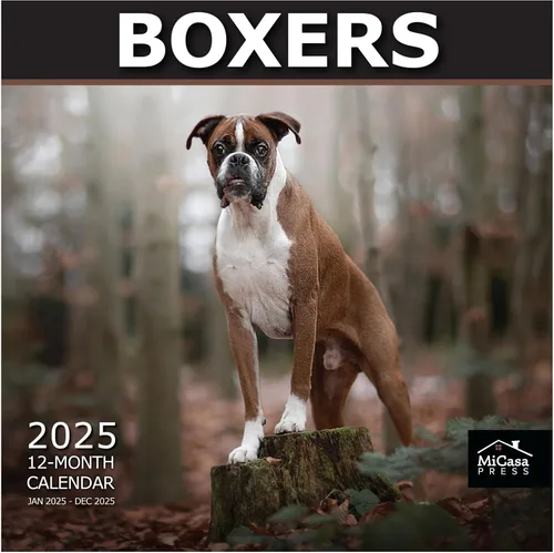 Miniatura 26 de MICASA PRESS Beagles - Calendario de pared 2026 de 12 meses 12 x 24 pulgadas abierto Papel grueso y resistente Regalo Lindo calendario