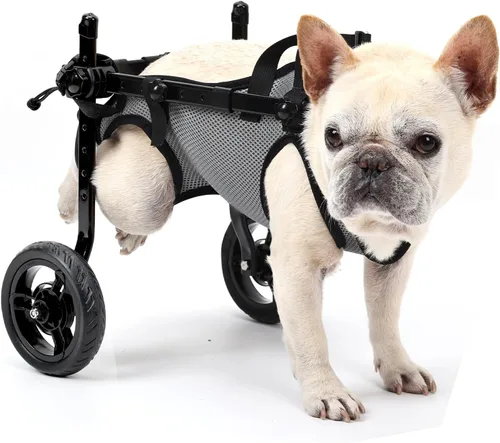 Silla de ruedas para perros pequeños para patas traseras, carrito ligero para perros, gatos y mascotas, con patas traseras discapacitadas, carrito
