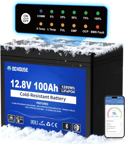 Miniatura 9 de DC HOUSE Batería de litio de motor de arrastre LiFePO4 de 12 V 100 Ah, grupo 24, Bluetooth y corte de baja temperatura, hasta 15000 ciclos, 100 A