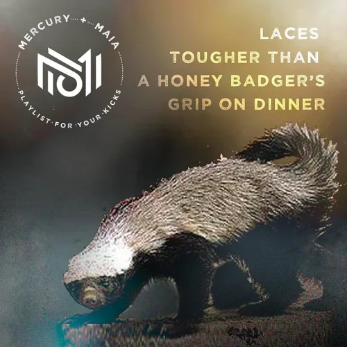 Miniatura 9 de Honey Badger - Cordones para botas resistentes con Kevlar, fabricados en Estados Unidos, cordones gruesos para botas de trabajo y senderismo