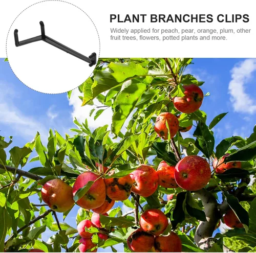 Miniatura 2 de Baluue Esparcidor de ramas de árbol frutal, 40 unidades, esparcidores de ramas de árbol para una fuerte propagación de ángulos de entrepierna, ramas