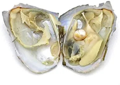 Miniatura 7 de Collar de perlas del zodiaco Aries con perlas auténticas