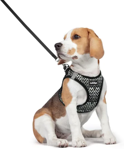 Miniatura 25 de rabbitgoo Juego de arnés para perro de tamaño pequeño y correa, chaleco ligero suave para cachorro, arnés de malla transpirable para mascotas