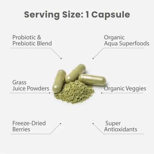 Miniatura 9 de Paradise Herbs Earth's Blend Once Daily Multivitamínico con hierro, 48 superalimentos orgánicos, probióticos, antioxidantes, vitaminas A, B12, C, D