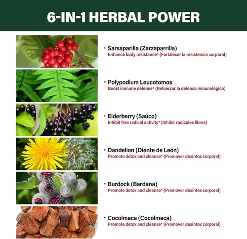 Miniatura 3 de Gotas de extracto de raíz de zarzaparrilla para limpieza del hígado, desintoxicación y reparación, suplemento de apoyo inmunológico con diente