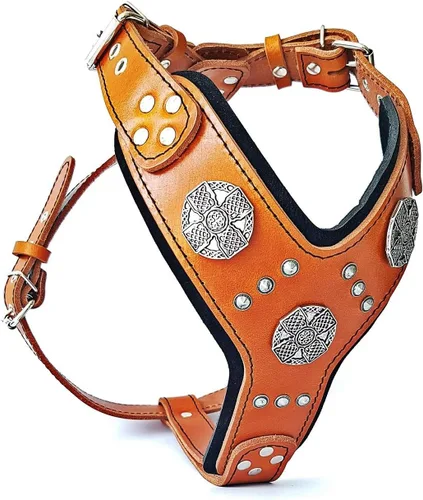 Miniatura 6 de Bestia Maximus Silver Big Dog - Arnés de cuero para perros marrón (brown & black)
