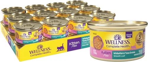 Wellness Complete Health Pate Kitten - Alimento húmedo enlatado para gatos, natural, rico en proteínas, sin granos, pescado blanco y atún, 3 onzas,