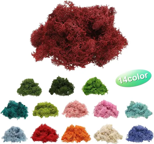 Miniatura 2 de uxcell Musgo de reno preservado, musgo falso de 4 onzas para manualidades, musgo seco artificial para decoración, manualidades, terrarios, plantas