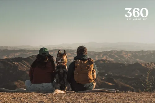 Miniatura 8 de 360 Pet Nutrition Canine Superfood Boost – All Life Stage - Suplemento para comida para perros, apoya la salud articular, digestiva e inmunológica