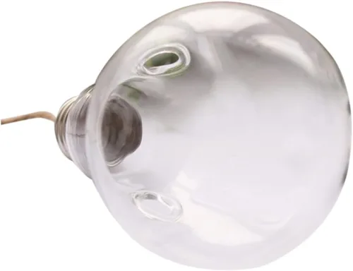 Milisten Macetas de cristal con forma de bombilla de 2 agujeros para colgar en la pared para plantas de aire, diseño de plantas de agua con cuerda