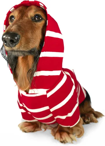 Miniatura 13 de DJANGO Sudadera con capucha para perro, cálido, ligero, suave y elástico para perro, con capucha, orificio para arnés y cintura elástica, sudadera