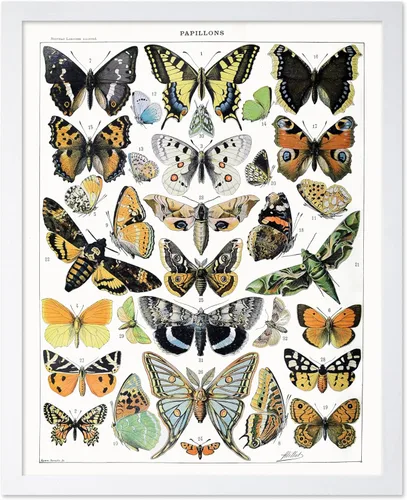 Miniatura 30 de Poster Master Póster vintage de miel, impresión retro de La Vie De L'Abeille, arte de panal de abeja, arte de pared de abeja, regalo para hombres