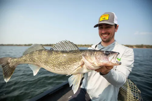 Miniatura 2 de Northland Tackle Cabezas de pesca con bolas de goma para lucioperca, lubina, trucha, cangrejo y panfish - 22 colores de señuelo, paquetes a granel