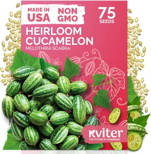 Miniatura 22 de KVITER 3100 semillas de zanahoria tiernas para plantar (Daucus carota) - Semillas de vegetales sin OMG para jardín al aire libre - Zanahorias dulces