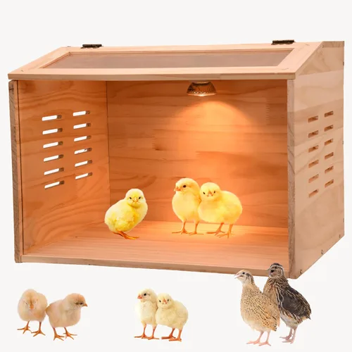 Caja de cría para pollitos, caja de criador de pollo, calentador de pollo, criador de aves de corral con calentadores para pollitos bebés, patos,