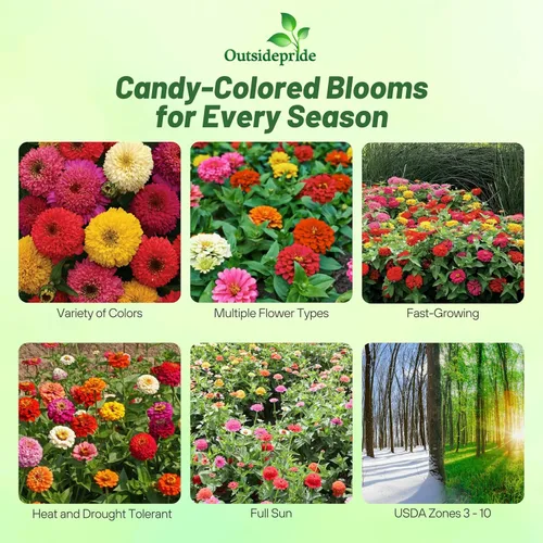 Miniatura 2 de Outsidepride - Zinnia Elegans, 200 semillas anuales, Candy Flower Seed Mix, mezcla de semillas de flores para plantar