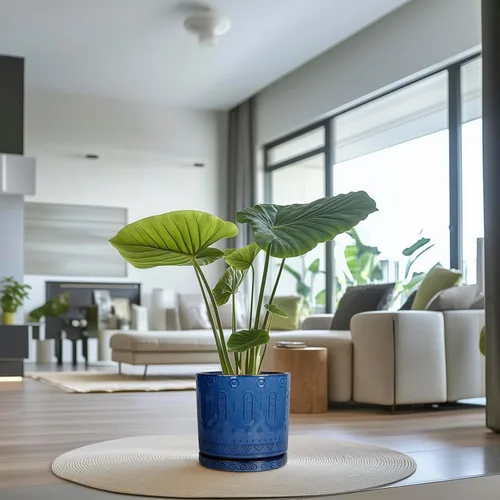 Miniatura 9 de Eightpot Maceta de 12 Pulgadas para Plantas - Maceta de Cerámica para Plantas de Interior Maceta Grande para Plantas con Agujeros de Drenaje y Azul