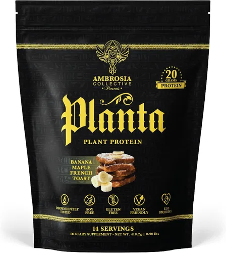 Ambrosia Planta - Proteína Premium a Base de Plantas | Vegana y Apta para Cetogénicos | Sabores Gourmet sin Hinchazón o Malestar Estomacal | Sin