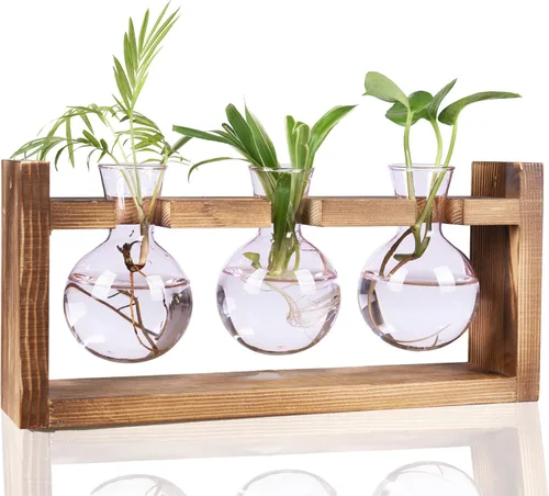 Miniatura 11 de Kingbuy Estación de propagación de terrarios de plantas de vidrio, jarrones de colores de 3 bombillas con soporte de madera retro, maceta de jardín