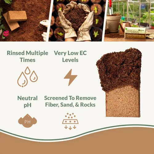 Miniatura 2 de Ladrillo de coco (650 gm) + polvo Myco Bliss (7.05 oz) – Fibra de coco orgánica para plantas y micorrizas para plantas – Inoculante de hongos