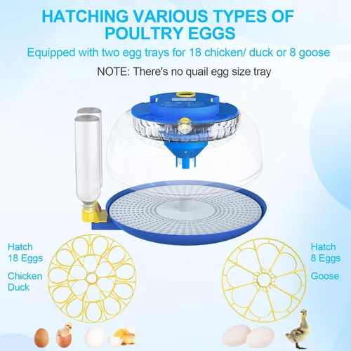 Miniatura 6 de 18 incubadoras de huevos para incubar huevos con control de temperatura, incubadora de huevos con giro automático de huevos y pantalla de humedad