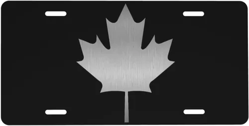 Miniatura 13 de Placa de matrícula de motocicleta oxidada con pintura, bandera americana vintage, placa de aluminio para auto de 6 x 12 pulgadas, cubierta de placa