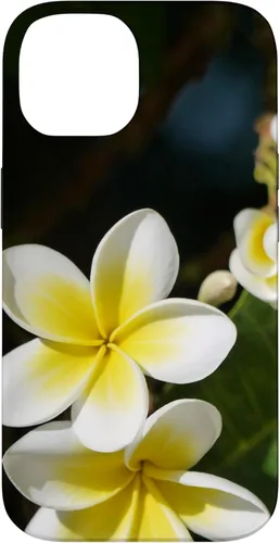 Miniatura 4 de iPhone 12/12 Pro Plumeria Flower - Carcasa amarilla