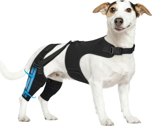 Miniatura 9 de Rodillera para perro para pierna trasera desgarrada, ajustable para pierna trasera con 5 estabilizadores, reduce el dolor, lesiones de ligamentos