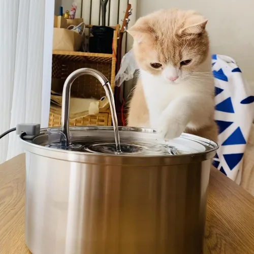 Miniatura 5 de KittySpout Fuente de Agua para Gatos de Acero Inoxidable Fuente de Beber Automática, Cuenco de Agua Circulante Silencioso, Apto para Lavavajillas