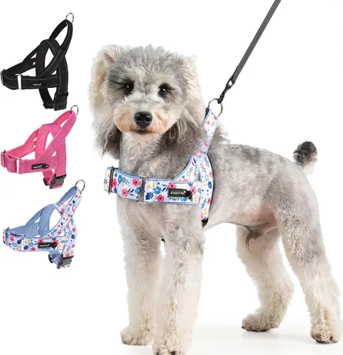 Miniatura 10 de KOOLTAIL Arnés sin tirones para perro pequeño, con acolchado suave y asa, arnés de chaleco para cachorro fácil de caminar, cuello y pecho, Negro