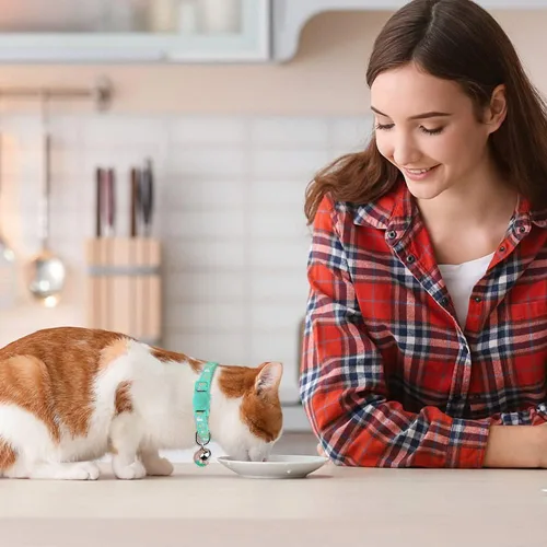 Miniatura 2 de Baeuppit 2 piezas de collares de gato separables con campana, lunas, estrellas, lindos collares ajustables para gatitos con colgante que brillan