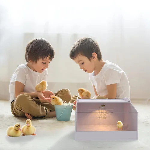 Miniatura 6 de Caja para criadores de pollos con lámpara de calor, adecuada para pollos, patos, loros y lagartos (19 x 12 x 12 pulgadas)