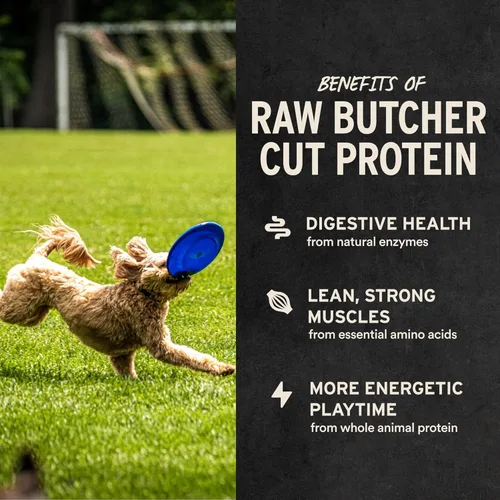 Miniatura 4 de Vital Essentials Golosinas liofilizadas para perros Pechuga de pollo, ingrediente único Calidad premium Golosinas de entrenamiento sin granos